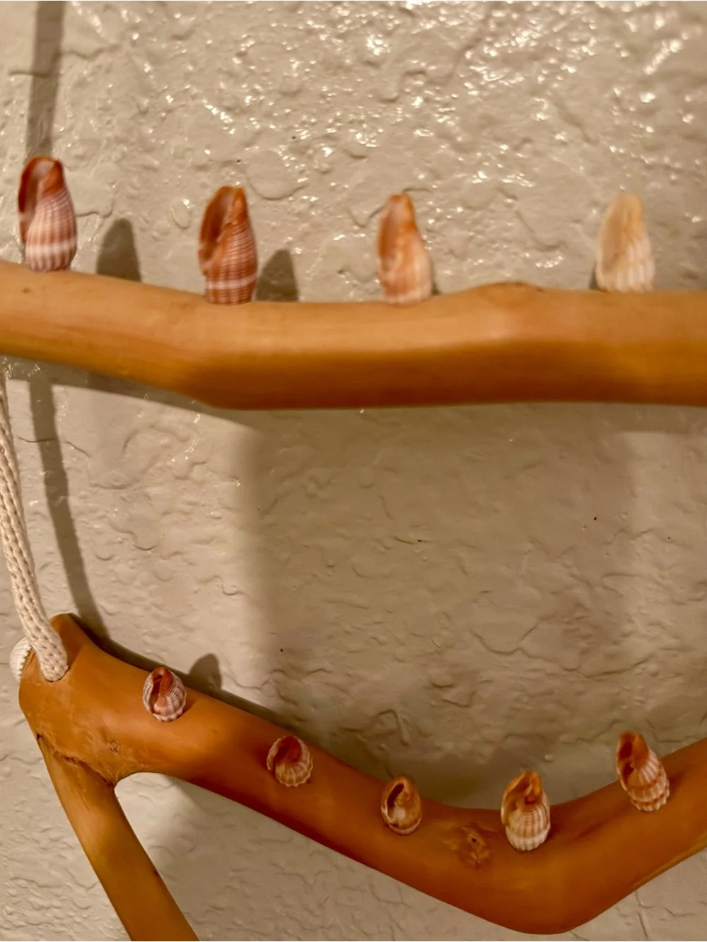 Driftwood And Rope Wall Hanging With Seashell Hooks For Jewelry